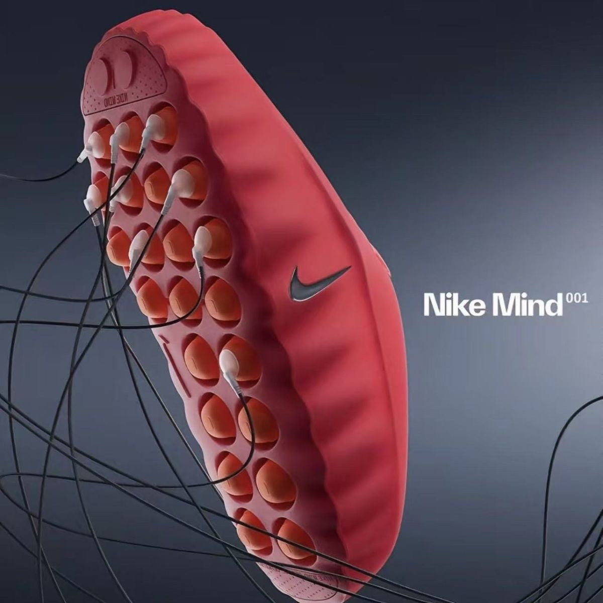 Nike Slippers